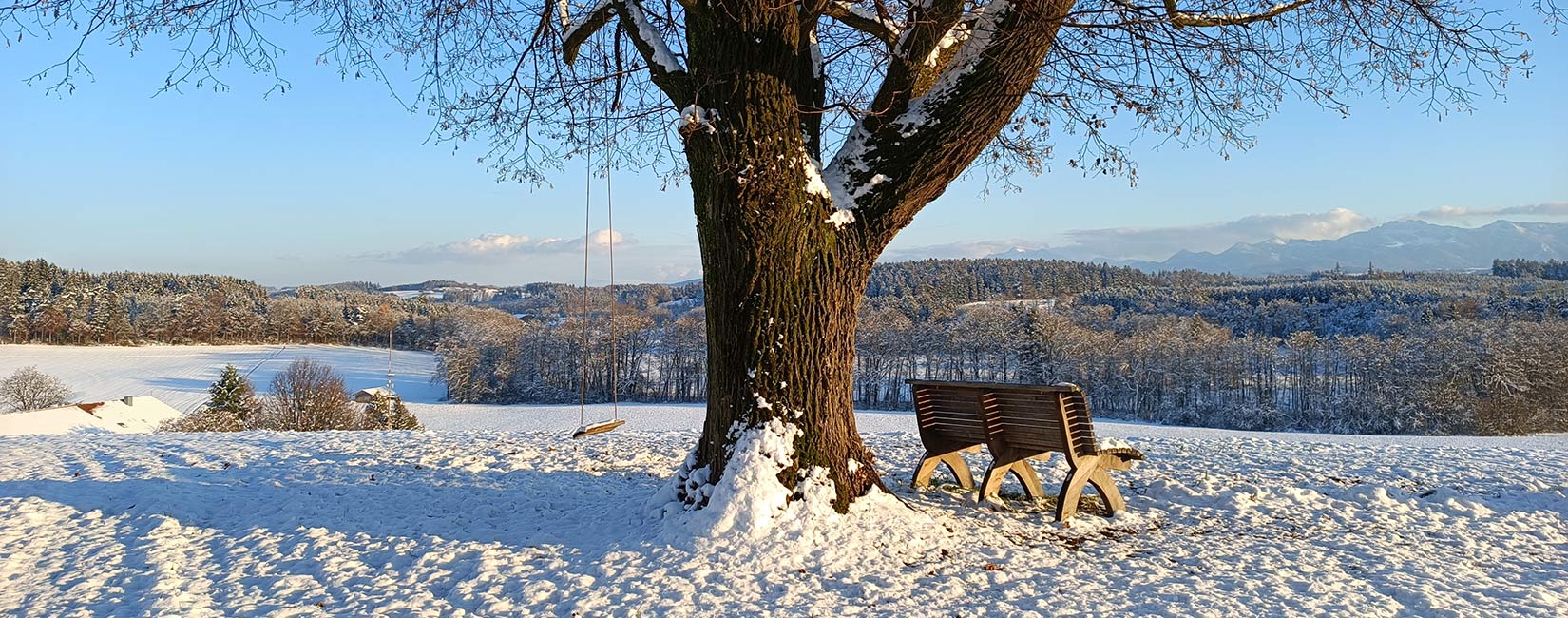 3_Bauernhof_knoglerhof_aussicht-winter